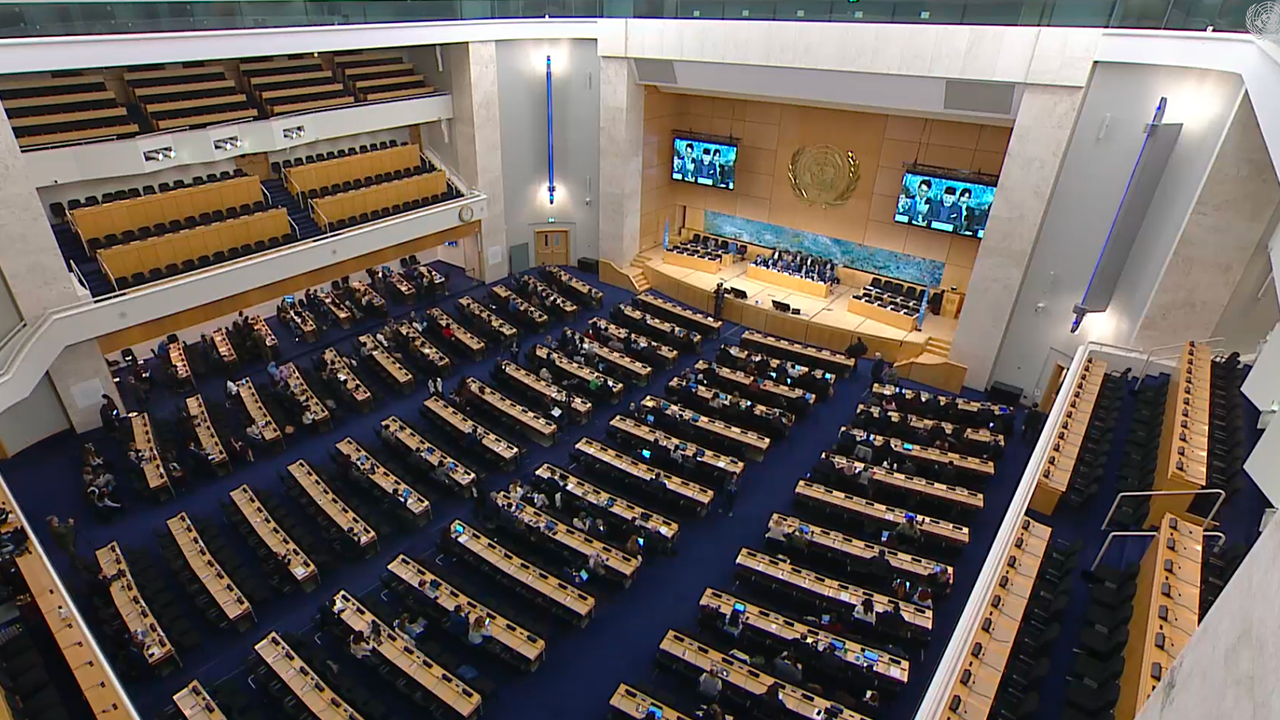 Human Rights in the Middle East in 2024