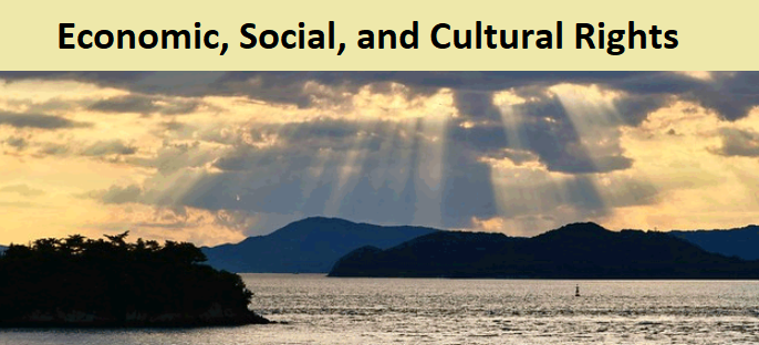 The Framework of Dignity: A Comprehensive Guide to Economic, Social, and Cultural Rights